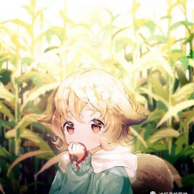 韩国前总统妻子被判有期徒刑4年